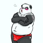  1:1 2008 anthro belly black_body black_fur blush bulge clothing fatchance fur genital_outline giant_panda male mammal overweight overweight_male penis_outline simple_background solo underwear ursid white_body white_fur 