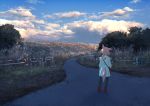  2017 amazing_background anthro backpack bakawasima canid canine clothed clothing cloud day detailed_background digital_media_(artwork) digital_painting_(artwork) dress female footwear fully_clothed fur grass hair kemono landscape legwear mammal outside pink_hair plant rear_view road shoes sky solo standing sunset tree white_body white_fur 