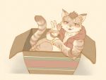  2019 anthro chinchilla3333 clothed clothing felid fur fur_tuft gesture in_box looking_at_viewer male mammal nekojishi open_mouth shu-chi solo tuft v_sign 