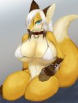  2018 3:4 anthro big_breasts biped blue_eyes bra breasts brown_body brown_fur canid canine cleavage clothed clothing collar countershading digital_media_(artwork) dipstick_tail female fluffy fox fur gloves_(marking) hair huge_breasts inner_ear_fluff kadomarco kemono long_hair looking_at_viewer mammal markings multicolored_body multicolored_fur multicolored_tail navel orange_body orange_fur panties pawpads paws signature simple_background sitting smile solo thick_thighs tuft underwear white_body white_fur white_hair 
