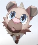  ambiguous_gender black_border blue_eyes border brown_body brown_fur feral fur hi_res looking_at_viewer nintendo pok&eacute;mon pok&eacute;mon_(species) rockruff simple_background solo tongue video_games white_background youkai-chan 