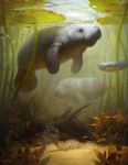  2020 alsares batoid brown_eyes bubble day detailed_background digital_media_(artwork) feral fish group hi_res mammal manatee marine outside sirenian stingray underwater water 