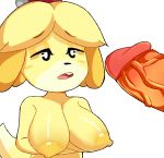  animal_crossing anthro big_breasts big_penis blush breasts canid canine canis domestic_dog duo erection fauzzle female female_focus fur genitals hair half-closed_eyes hand_on_breast hi_res holding_breast imminent_blowjob imminent_sex isabelle_(animal_crossing) male male/female mammal narrowed_eyes nintendo nude open_mouth penis shih_tzu simple_background solo solo_focus teeth tongue toy_dog vein video_games white_background yellow_body yellow_fur 