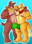  anthro bill_grey brown_body brown_fur bulge bulldog canid canine canis clothing domestic_dog duo fox fox_mccloud fur hi_res male male/male mammal mastiff molosser muscular muscular_male nintendo orange_body orange_fur schwarzfox speedo star_fox swimwear video_games 