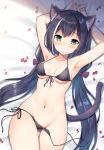  1girl animal_ear_fluff animal_ears armpits arms_up bare_arms bare_shoulders bed_sheet bikini black_bikini black_hair breasts cameltoe cat_ears cat_girl cat_tail collarbone front-tie_bikini front-tie_top green_eyes groin halter_top halterneck kyaru_(princess_connect) long_hair looking_at_viewer low_twintails lying mauve medium_breasts multicolored_hair navel on_back petals princess_connect! princess_connect!_re:dive side-tie_bikini solo streaked_hair swimsuit tail thigh_gap thighs twintails untied untied_bikini very_long_hair 