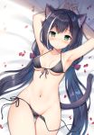  1girl animal_ear_fluff animal_ears armpits arms_up bare_arms bare_shoulders bed_sheet bikini black_bikini black_hair breasts cameltoe cat_ears cat_girl cat_tail collarbone commentary_request front-tie_bikini front-tie_top green_eyes groin halter_top halterneck highres kyaru_(princess_connect) long_hair looking_at_viewer low_twintails lying mauve medium_breasts multicolored_hair navel on_back petals princess_connect! princess_connect!_re:dive side-tie_bikini solo streaked_hair swimsuit tail thigh_gap thighs twintails untied untied_bikini very_long_hair 