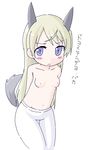  animal_ears blush breasts eila_ilmatar_juutilainen long_hair nipples pantyhose simple_background small_breasts solo strike_witches tail topless translated white_legwear world_witches_series youta_(asatsukidou) 