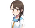  atsuyah0310 blush brown_eyes brown_hair flat_chest nisekoi onodera_kosaki school_uniform short_hair white 