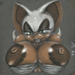  2016 anthro areola big_areola big_breasts breasts brown_body brown_skin bust_portrait chiropteran female green_eyes half-closed_eyes huge_breasts looking_at_viewer mammal narrowed_eyes portrait rouge_the_bat solo sonic_the_hedgehog_(series) sonicsfan81 
