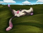  absurd_res balls deanka digital_media_(artwork) felid feline feral fluffy genitals hi_res male mammal penis sunbathing verti(character) 