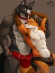  armpit_hair better_version_at_source body_hair bulge canid canine fox low_res male male/male mammal muscular muscular_male otterscience size_difference 
