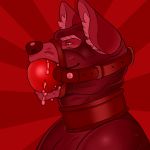  1:1 anthro ball_gag bdsm big_ball_gag bodily_fluids bondage bound bust_portrait clothing collar digital_drawing_(artwork) digital_media_(artwork) drooling gag gagged gimp glistening hero leather male mammal muscular noahsense open_mouth portrait procyonid raccoon red_background red_theme rodent rubber safeword_(character) saliva simple_background solo submissive submissive_male superhero 