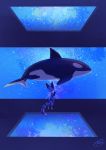  ambiguous_gender anthro aquarium cetacean delphinoid domestic_cat felid feline felis feral hi_res mammal marine oceanic_dolphin orca rady-wolf toothed_whale vivarium 