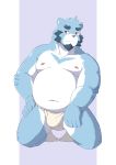  2019 absurd_res anthro asian_clothing belly blue_body blue_fur bonasiah bulge chubbylittlemu clothing east_asian_clothing full_attack fundoshi fur hi_res humanoid_hands japanese_clothing kemono male mammal moobs navel nipples overweight overweight_male simple_background solo underwear ursid white_body white_fur 十泉介 