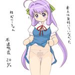  animal_print blouse bow bow_panties cat_panties cat_print dress dress_lift front-print_panties hair_bow lingerie long_hair magikano panties petticoat print_panties purple_eyes purple_hair solo standing thigh_gap underwear very_long_hair white_panties yoshikawa_maika yuuichi_(tareme_paradise) 