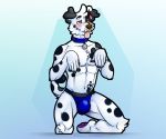  absurd_res accessory anthro begging blush bulge canid canine canis clothed clothing collar curled_tail dalmatian dogbert domestic_dog fisis hi_res jock jockstrap kneeling male mammal muscular muscular_male pawpads purple_pawpads solo submissive underwear 
