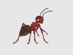  4:3 absurd_res alorix ambiguous_gender ant arthropod hi_res hymenopteran insect semi-anthro solo standing taur 