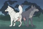  3:2 animal_genitalia animal_penis anus balls canid canine canine_penis canis duo feral fur genitals grey_body grey_fur kiba_(wolf&#039;s_rain) knot makinglemonade_(artist) male mammal penis sheath simple_background tsume_(wolf&#039;s_rain) white_body white_fur wolf wolf&#039;s_rain yellow_eyes 