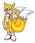  2007 2_tails age_difference anthro breasts canid canine casual_nudity cgmyers chest_fur crossgender female fox fur illys invalid_background mammal miles_prower multi_tail older_female smile solo sonic_the_hedgehog_(series) tails_(disambiguation) 