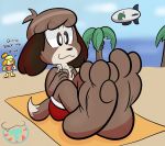  3_toes animal_crossing anthro beach beverage blush brown_body brown_fur canid canine canis clothed clothing dialogue digby_(animal_crossing) domestic_dog english_text feet female foot_focus fur hair isabelle_(animal_crossing) male male_focus mammal mintytempest nintendo open_mouth outside paws seaside shih_tzu sitting smile solo_focus standing teeth text toes tongue toy_dog video_games yellow_body yellow_fur 