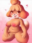  &lt;3 &lt;3_eyes 2020 animal_crossing anthro big_breasts blush breasts canid canine canis domestic_dog female fur genitals hair invalid_tag isabelle_(animal_crossing) kneeling looking_at_viewer macaronneko mammal nintendo nipples nude open_mouth pussy shih_tzu short_stack slightly_chubby smile solo teeth tongue toy_dog video_games yellow_body yellow_fur 