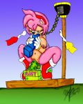  amy_rose knuckles_the_echidna sonic_team tagme tails 