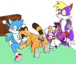 marine_the_raccoon sonic_riders sonic_team tagme wave_the_swallow 