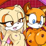  cream_the_rabbit marine_the_raccoon sonic_team sonicdash tagme 