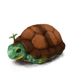  bad_pixiv_id gen_4_pokemon lowres naco24 no_humans pokemon pokemon_(creature) realistic shell_retraction simple_background turtle turtwig 