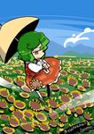  ascot chibi cloud day field flower flower_field green_hair hounori kazami_yuuka mountain nature plaid plaid_skirt plaid_vest short_hair skirt skirt_set sky solo sunflower touhou umbrella umbrella_riding vest yellow_eyes 