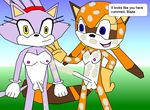  blaze_the_cat marine_the_raccoon masteraccount sonic_team tagme 