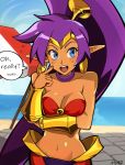  1girl arabian_clothes beach blue_eyes blush breasts cleavage dark_skin day earrings english_text harem_pants highres hoop_earrings jewelry long_hair looking_at_viewer munificent navel open_mouth outdoors pants ponytail purple_hair shantae_(character) shantae_(series) sky smile solo sweat water 