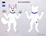  anthro avalanche avalanchewolf black_pawpads blue_collar blue_eyes canid canine canis claws collar ear_piercing ear_ring fur hi_res hindpaw invalid_tag male mammal model_sheet pawpads pawprint_marking paws piercing reference_image solo white_body white_fur wolf 