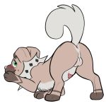  1:1 alpha_channel animal_genitalia animal_penis anus ass_up backsack balls blush brown_body brown_fur butt canid canine canine_penis digital_media_(artwork) digitigrade feral fur genitals green_eyes looking_at_viewer male mammal nintendo paper-wings penis penis_tip pok&eacute;mon pok&eacute;mon_(species) presenting presenting_anus presenting_hindquarters quadruped raised_tail rockruff sheath shy simple_background solo source_request transparent_background video_games 