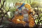  anthro asian_clothing bulge clothed clothing creek east_asian_clothing felid fundoshi japanese_clothing male mammal muscular pantherine raccoon21 river solo tiger topless underwear warrior 