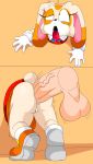  ahegao anal anthro anus balls butt cream_the_rabbit denizen1414 disembodied_penis duo eye_roll female fucked_silly genitals hi_res looking_pleasured male male/female narrowed_eyes penis pussy sonic_the_hedgehog_(series) stuck through_wall upskirt 