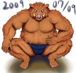  2009 anthro belly brown_body brown_fur fur humanoid_hands kemono lv_l male mammal moobs musclegut overweight overweight_male simple_background solo suid suina sumo sus_(pig) wild_boar 