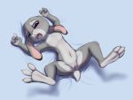  2020 3_toes 4_fingers anthro blue_background bodily_fluids buckteeth claws countershade_feet countershading disney ears_down female fingers flat_chested foot_focus fur genital_fluids genitals grey_body grey_fur hi_res judy_hopps lagomorph legs_up leporid long_ears lying mammal multicolored_body multicolored_fur navel nipples nude on_back open_mouth paws pink_nose pivoted_ears purple_eyes pussy pussy_juice rabbit shadow simple_background slowderpyguy soles solo spread_legs spread_toes spreading teeth toe_claws toes two_tone_body two_tone_fur zootopia 