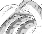  2020 female feral genitals juna_(runescape) pussy reptile runescape scalie sketch snake solo winick-lim 