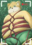  2020 anthro bdsm belly blush bondage bound bulge canid canine clothing erection erection_under_clothing genital_outline hi_res kemono male mammal molecule_12 nipples overweight overweight_male penis_outline rope solo 
