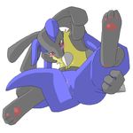  lucario pokemon tagme 