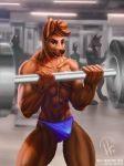  anthro barbell bicep_curl biceps bulge canid canine canis gym hi_res huskyfog looking_at_viewer male mammal muscular muscular_male solo sport sportswear wolf 