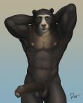  2020 anthro balls better_version_at_source big_penis black_body black_fur fur genitals hi_res humanoid_genitalia humanoid_penis male mammal muscular nipples penis rov simple_background solo spectacled_bear tremarctine ursid 