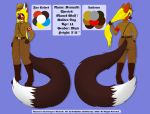  2020 5_fingers absurd_res anthro armband belt blonde_hair blue_eyes boots brown_body brown_fur canid canine clothing ear_tuft fingers footwear fur hair hi_res kitshokat long_hair long_tail looking_at_viewer male mammal maned_wolf model_sheet nazi nazi_armband nazi_uniform red_body red_fur remarki sash solo swastika teenager tuft uniform white_body white_fur young 