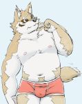  2017 anthro belly bulge canid canine canis clothing domestic_dog humanoid_hands kemono male mammal meg_hoi moobs nipples obese obese_male overweight overweight_male simple_background slightly_chubby solo underwear 