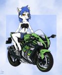  2020 anthro arctic_fox arctic_vixen bad_guy_cafe blue_hair brown_eyes canid canine female fox fur hair hi_res kawasaki looking_at_viewer mammal mia_(smneff) motorcycle pawpads simple_background vehicle white_body white_fur yellow_eyes ziegelzeig 