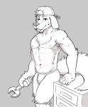  armpit_hair bodily_fluids body_hair bottomwear bulge canid canine canis clothed clothing domestic_dog floppy_ears hat headgear headwear male mammal muscular one_eye_closed pecs shelf shorts solo sweat tongue tools topless unknown_artist_(artist) wink wrench 