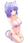  1girl animal_ear_fluff animal_ears bangs barefoot bikini breasts cat_ears cat_girl cat_tail cleavage commentary eyebrows_visible_through_hair full_body highres large_breasts light_blush looking_at_viewer medium_hair mel_(melty_pot) navel original parted_lips purple_bikini purple_eyes purple_hair seiza shadow side-tie_bikini simple_background sitting solo string_bikini swimsuit tail v_arms white_background 