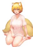  1girl absurdres alternate_costume animal_ear_fluff animal_ears areolae bangs barefoot blonde_hair blush breasts chanta_(ayatakaoisii) covered_nipples eyebrows_visible_through_hair fox_ears fox_tail full_body hair_between_eyes highres large_breasts looking_at_viewer multiple_tails nose open_mouth reflective_eyes see-through shiny shiny_hair shiny_skin shirt_tug short_hair short_sleeves sidelocks silver_hair simple_background sitting slit_pupils soles solo sweat sweatdrop tail thighs toes touhou wariza white_background yakumo_ran yellow_eyes 
