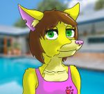  brown_hair canid canine canis clothing dingo female fur green_eyes hair lorris_(thankfullorris) mammal one-piece_swimsuit pool_(disambiguation) solo swimwear thankfullorris yellow_body yellow_fur 